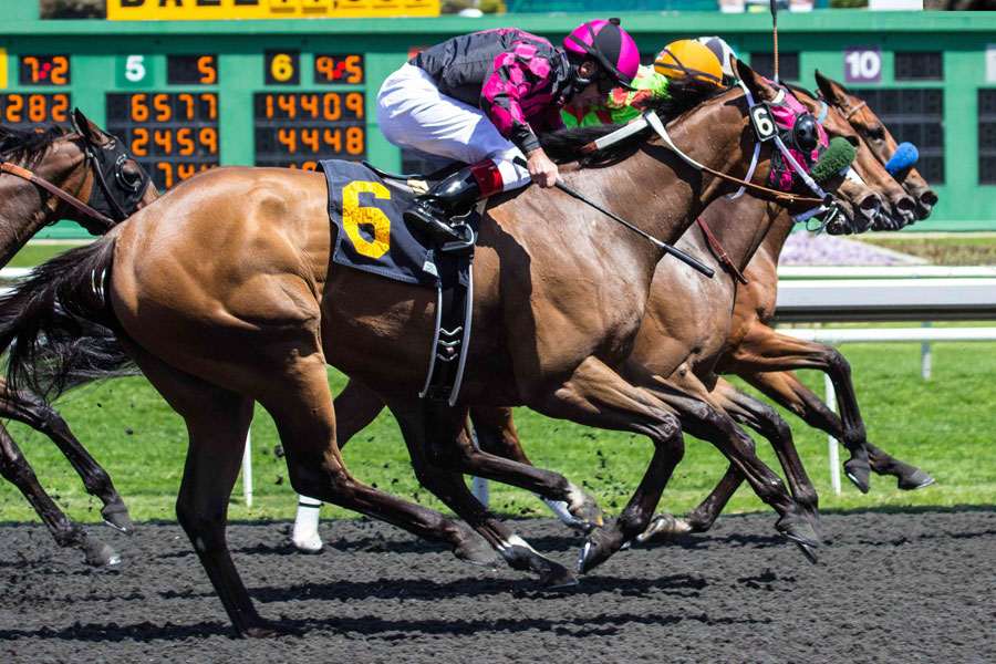 ebc market support for baseball