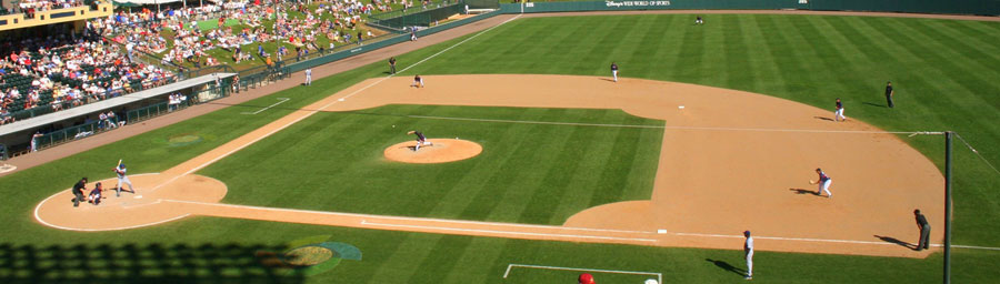Sporting Goods market baseball